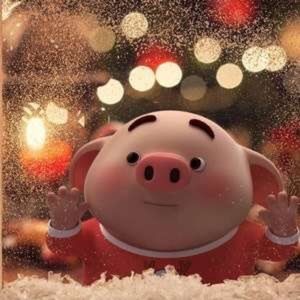 Meet your Posher, Yuki